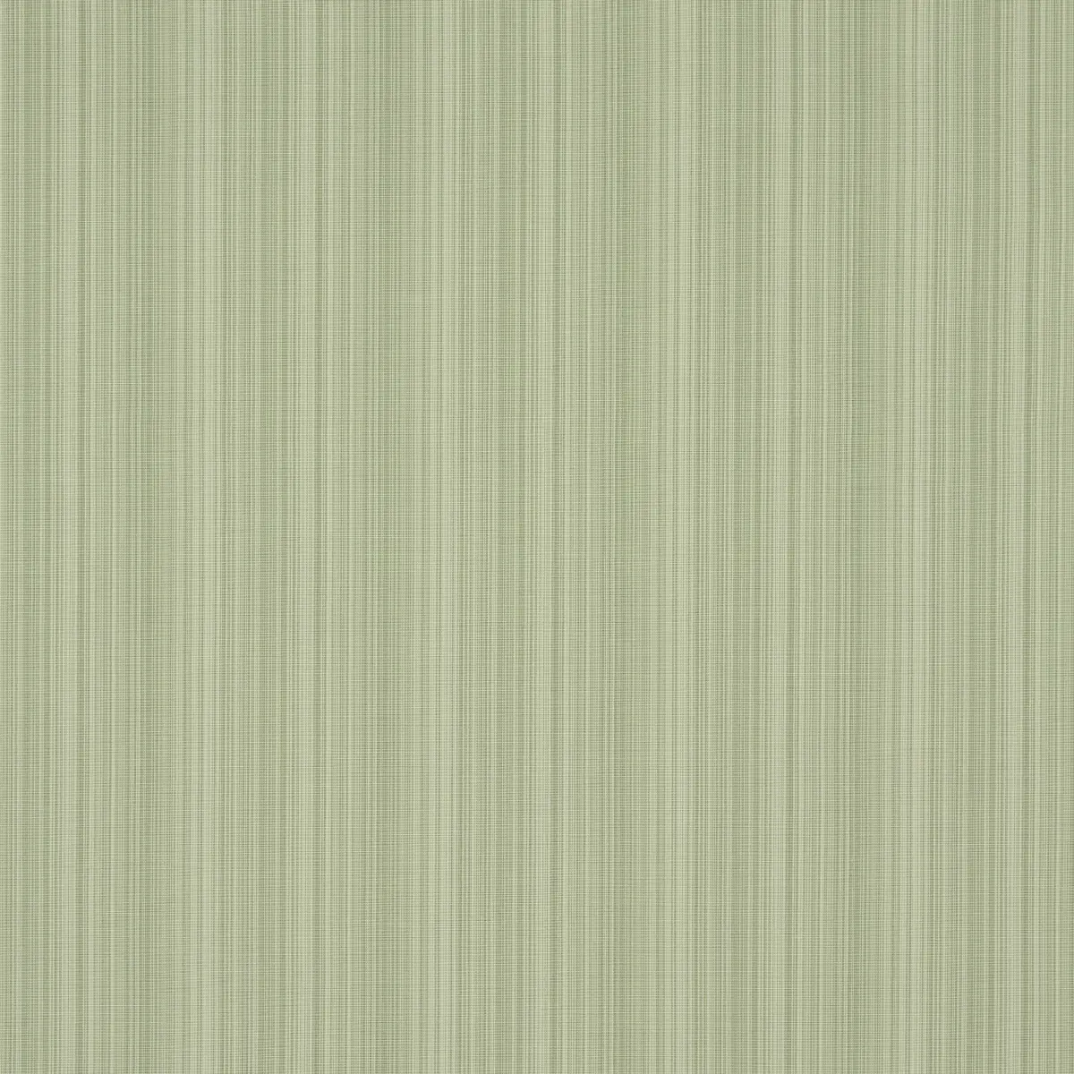 GRACIE SOLID STRIÉ_ LEAF GREEN