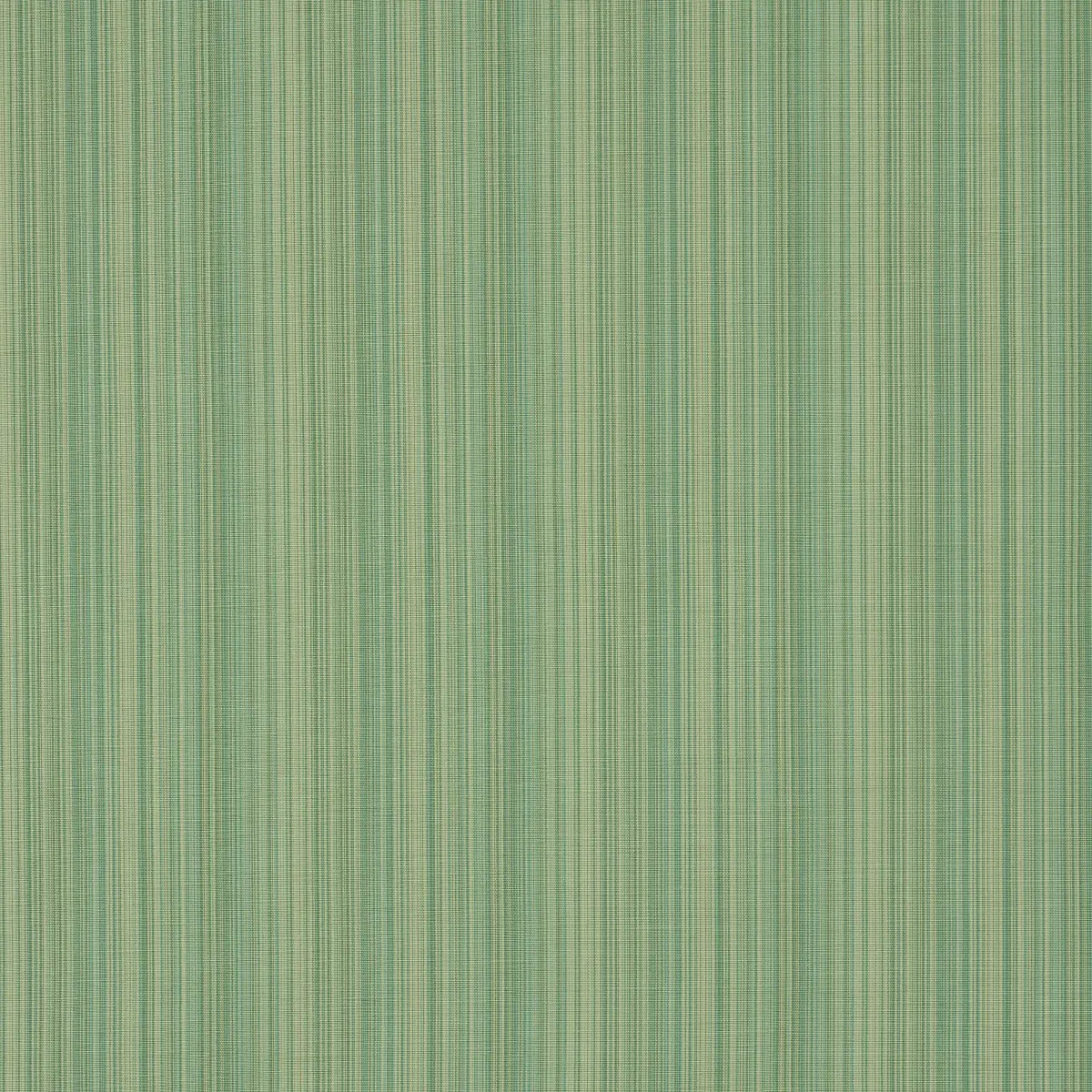 GRACIE SOLID STRIÉ_ EMERALD