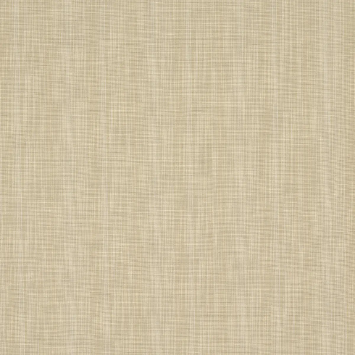GRACIE SOLID STRIÉ_ NEUTRAL