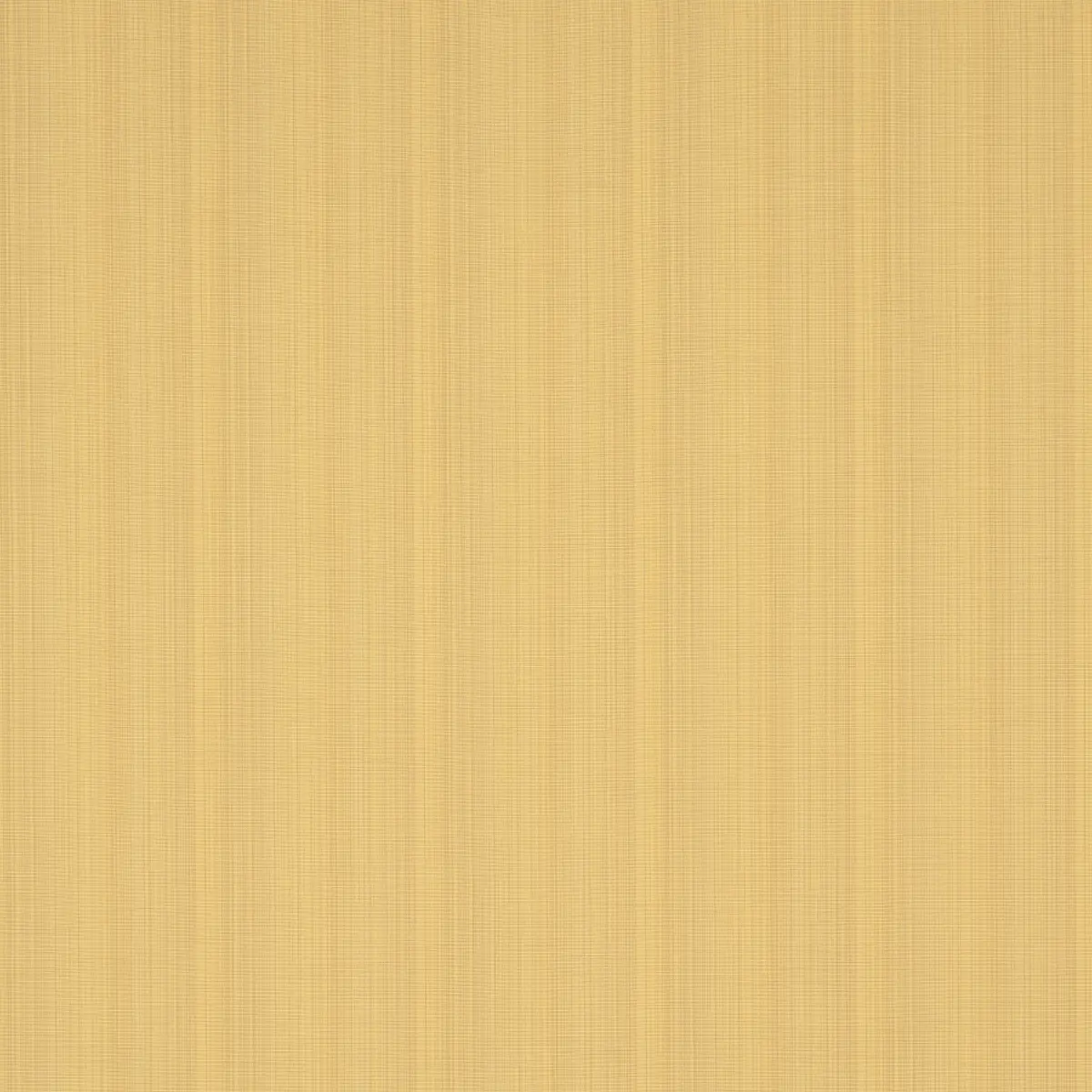 GRACIE SOLID STRIÉ_ YELLOW