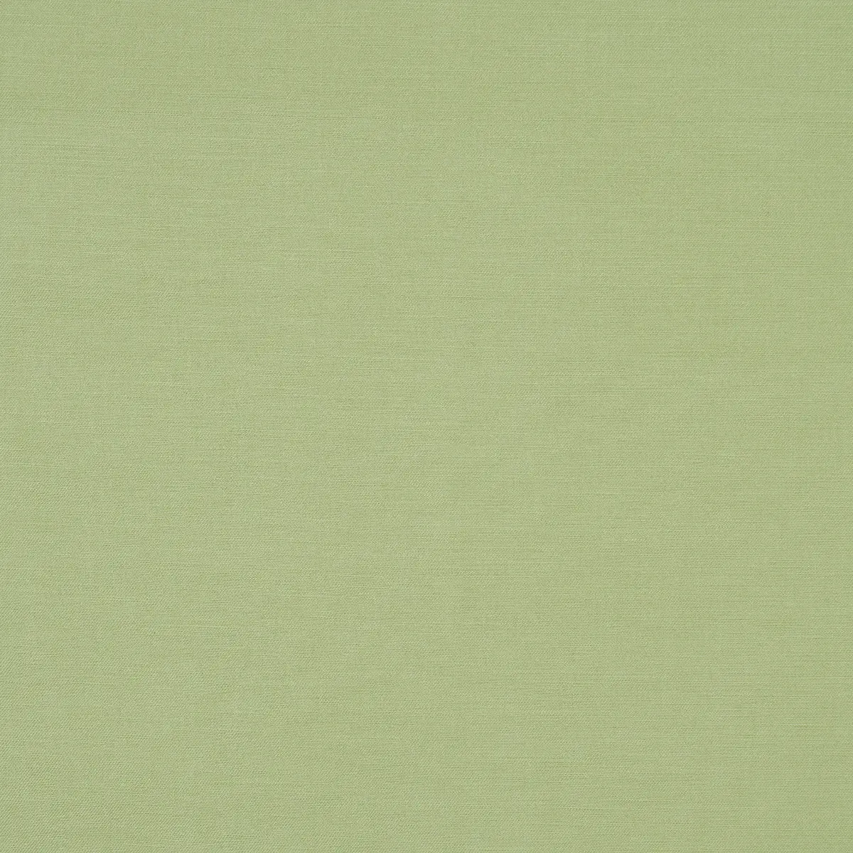 JUDY TEXTURE_ CELADON