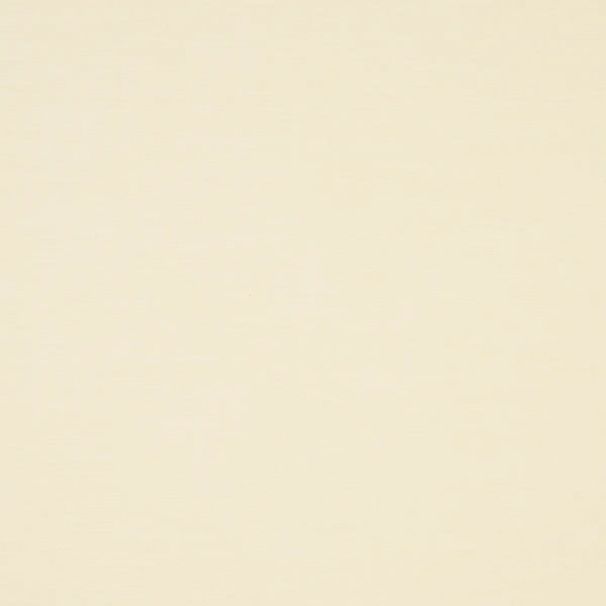 JUDY TEXTURE_ BUTTER