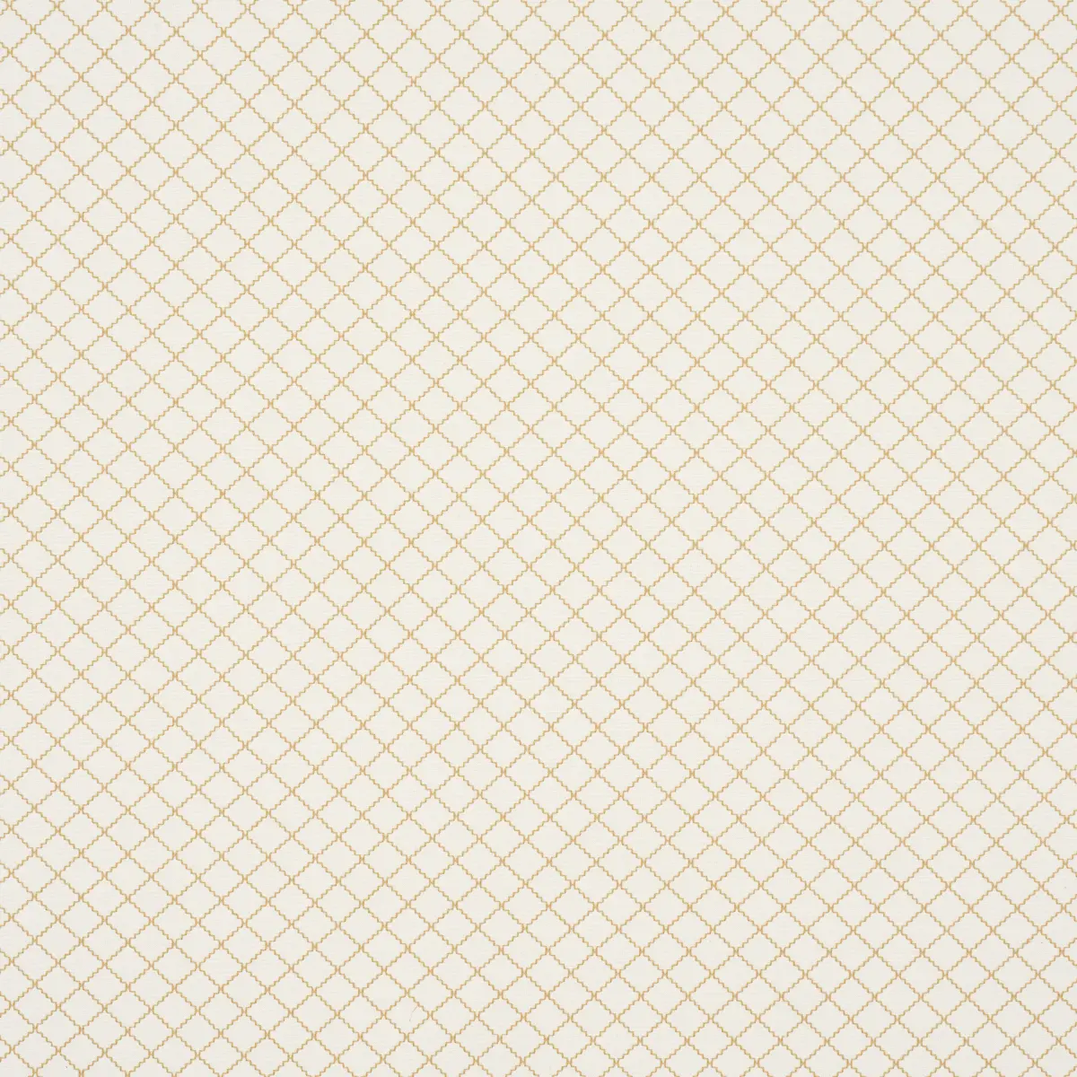 MAGGIE LATTICE_ NEUTRAL