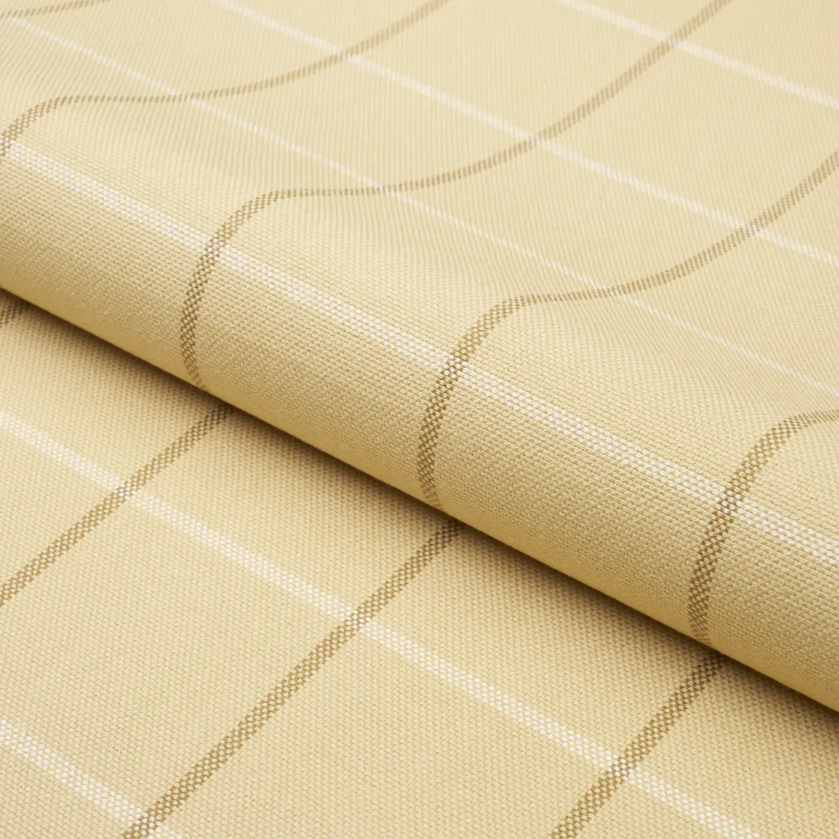 FRANNIE WINDOWPANE_ CAMEL