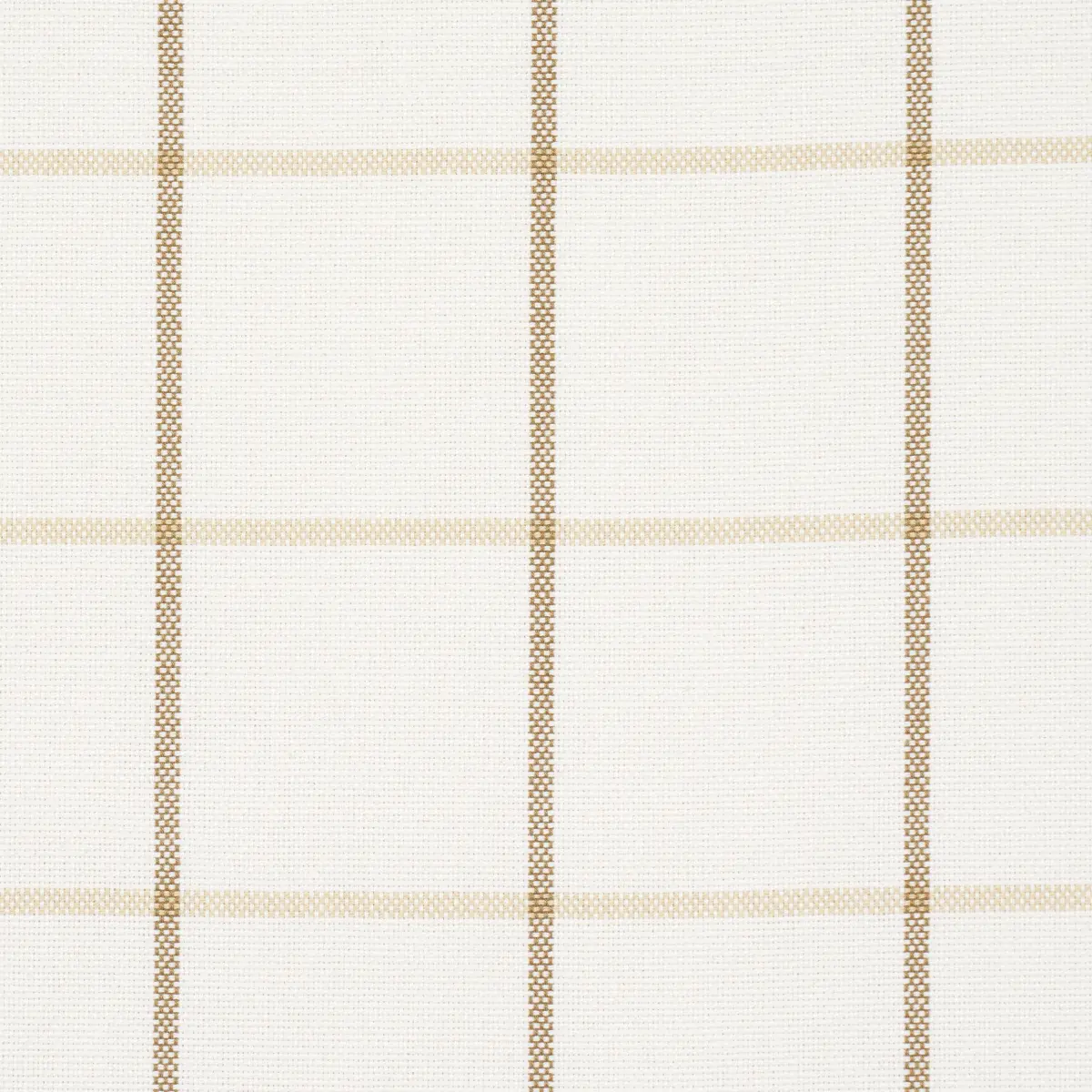 FRANNIE WINDOWPANE_ NEUTRAL