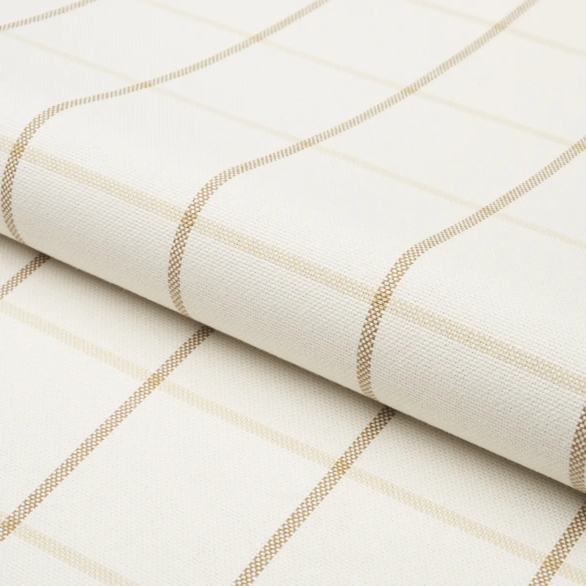 FRANNIE WINDOWPANE_ NEUTRAL