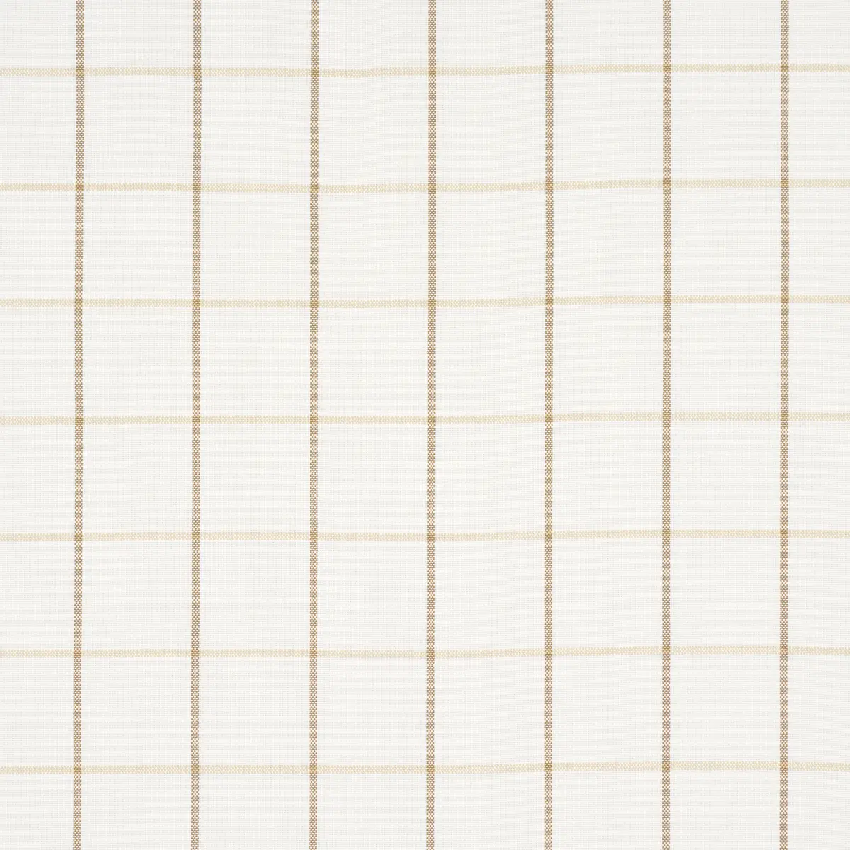 FRANNIE WINDOWPANE_ NEUTRAL