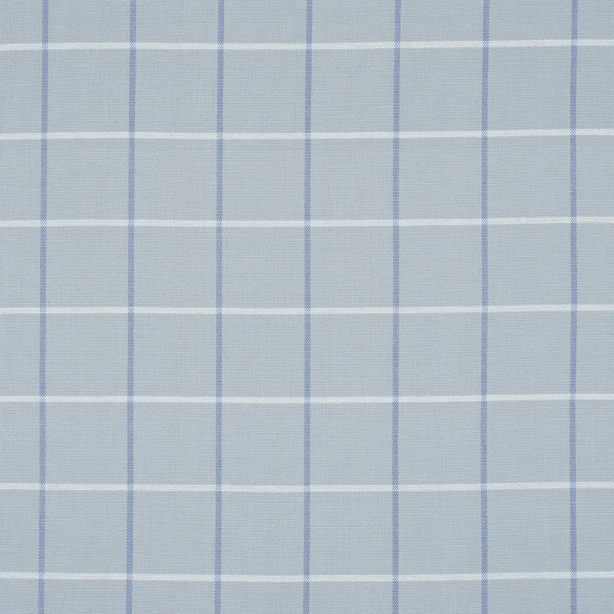 FRANNIE WINDOWPANE_ CHINA BLUE