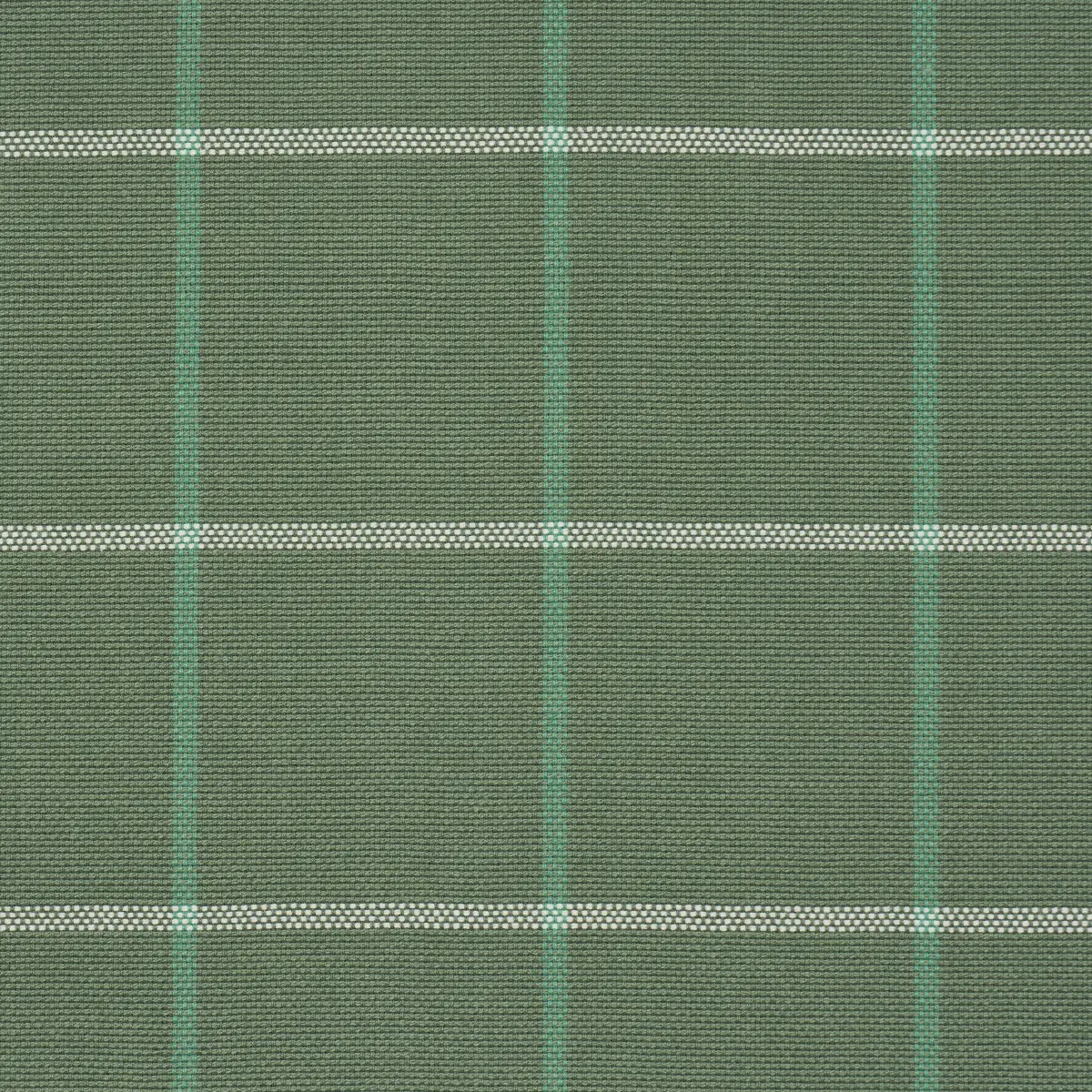 FRANNIE WINDOWPANE_ GREEN