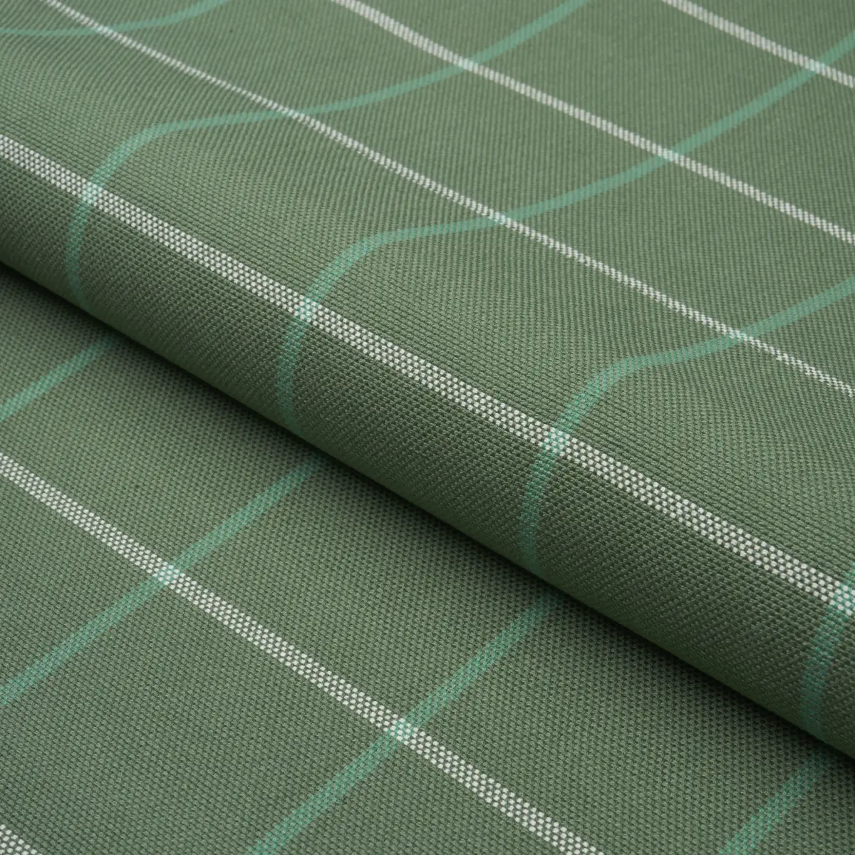FRANNIE WINDOWPANE_ GREEN