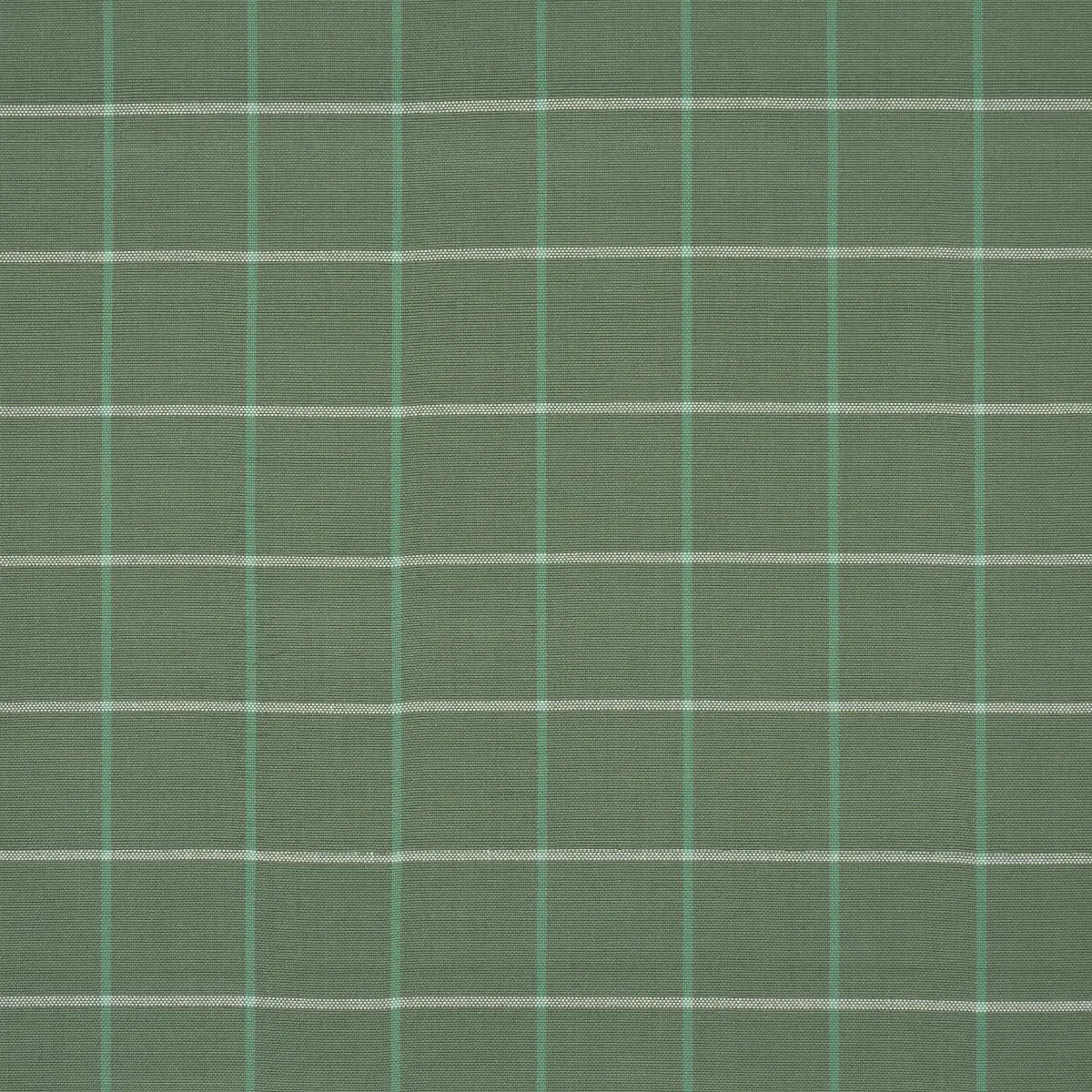 FRANNIE WINDOWPANE_ GREEN