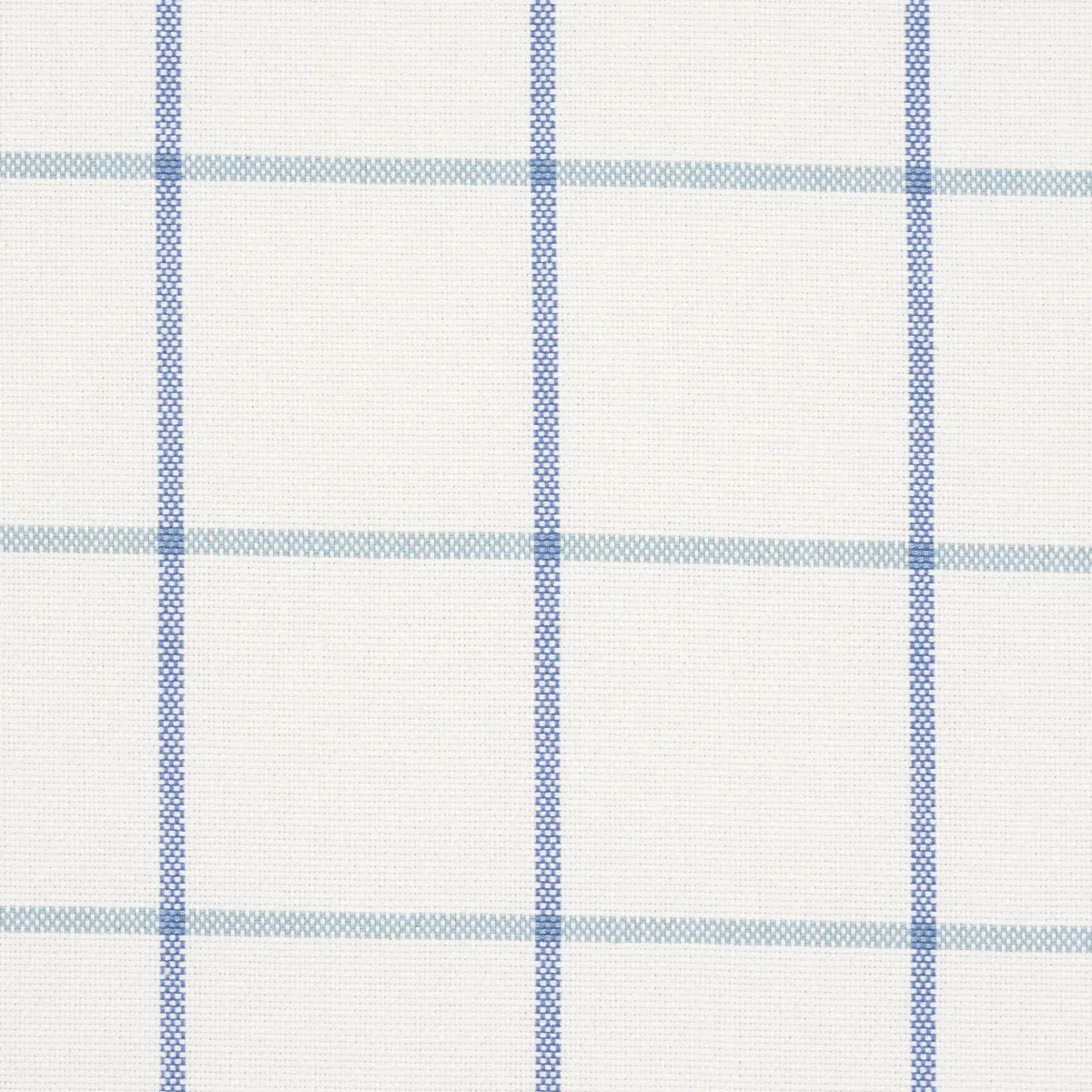 FRANNIE WINDOWPANE_ COBALT