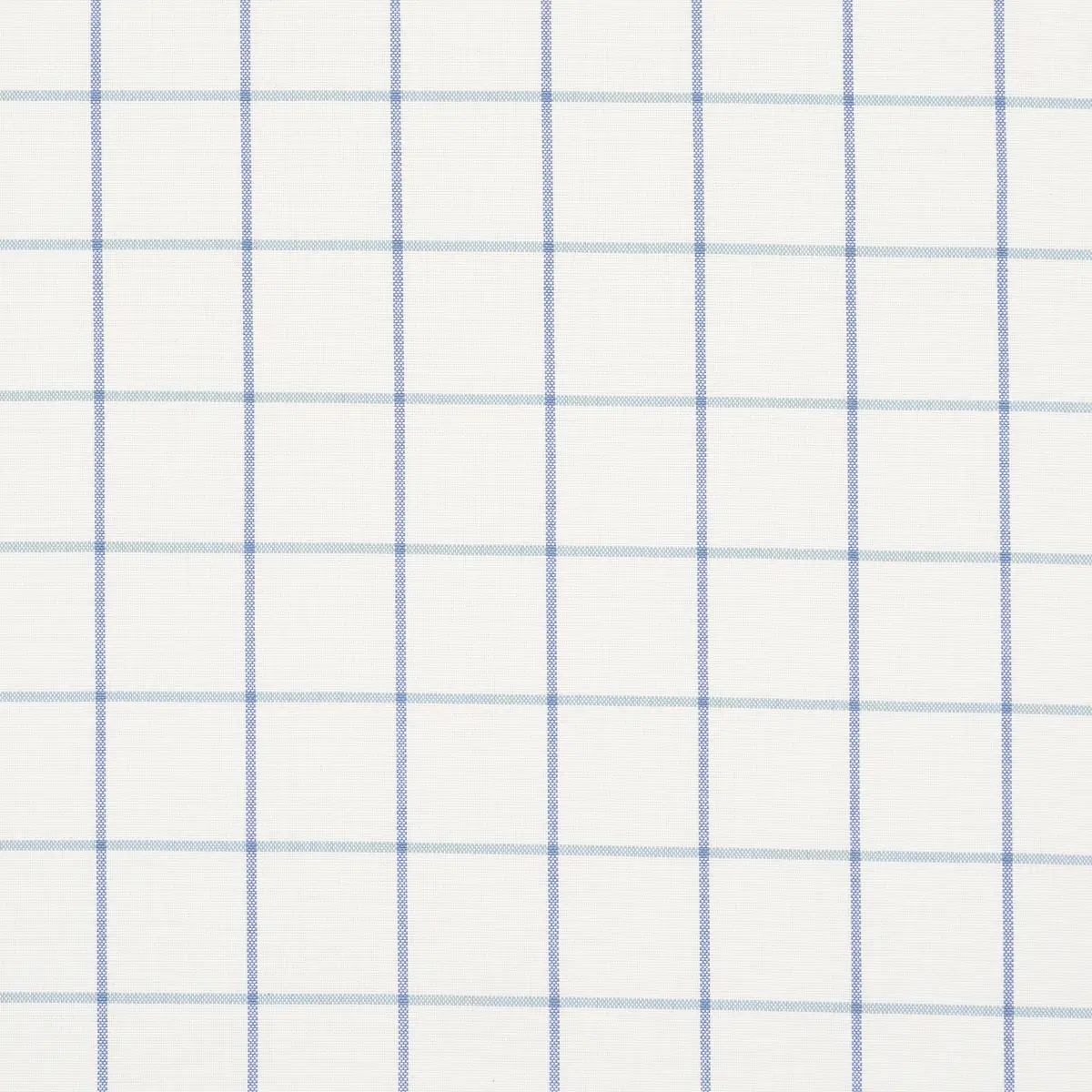 FRANNIE WINDOWPANE_ COBALT
