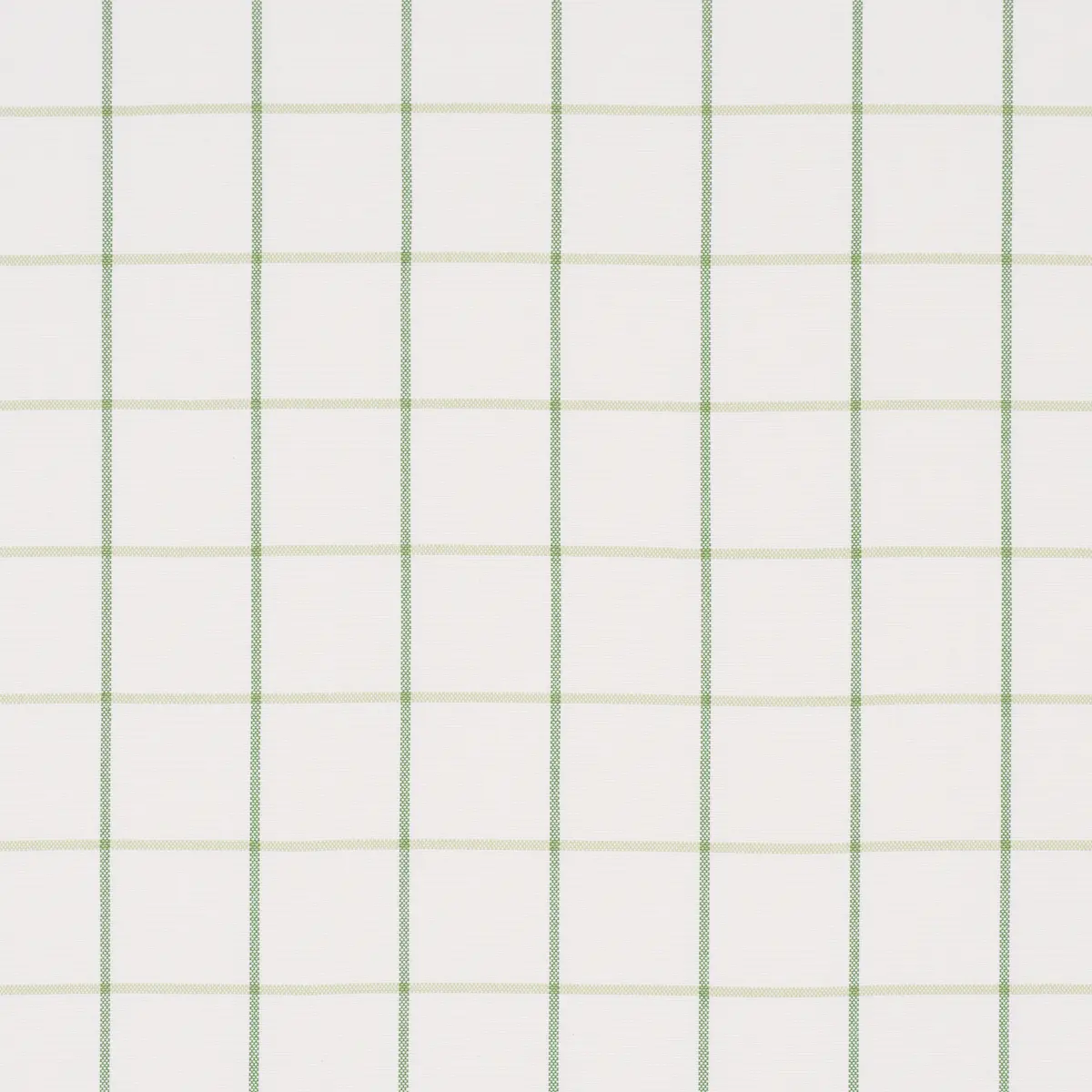 FRANNIE WINDOWPANE_ LEAF GREEN