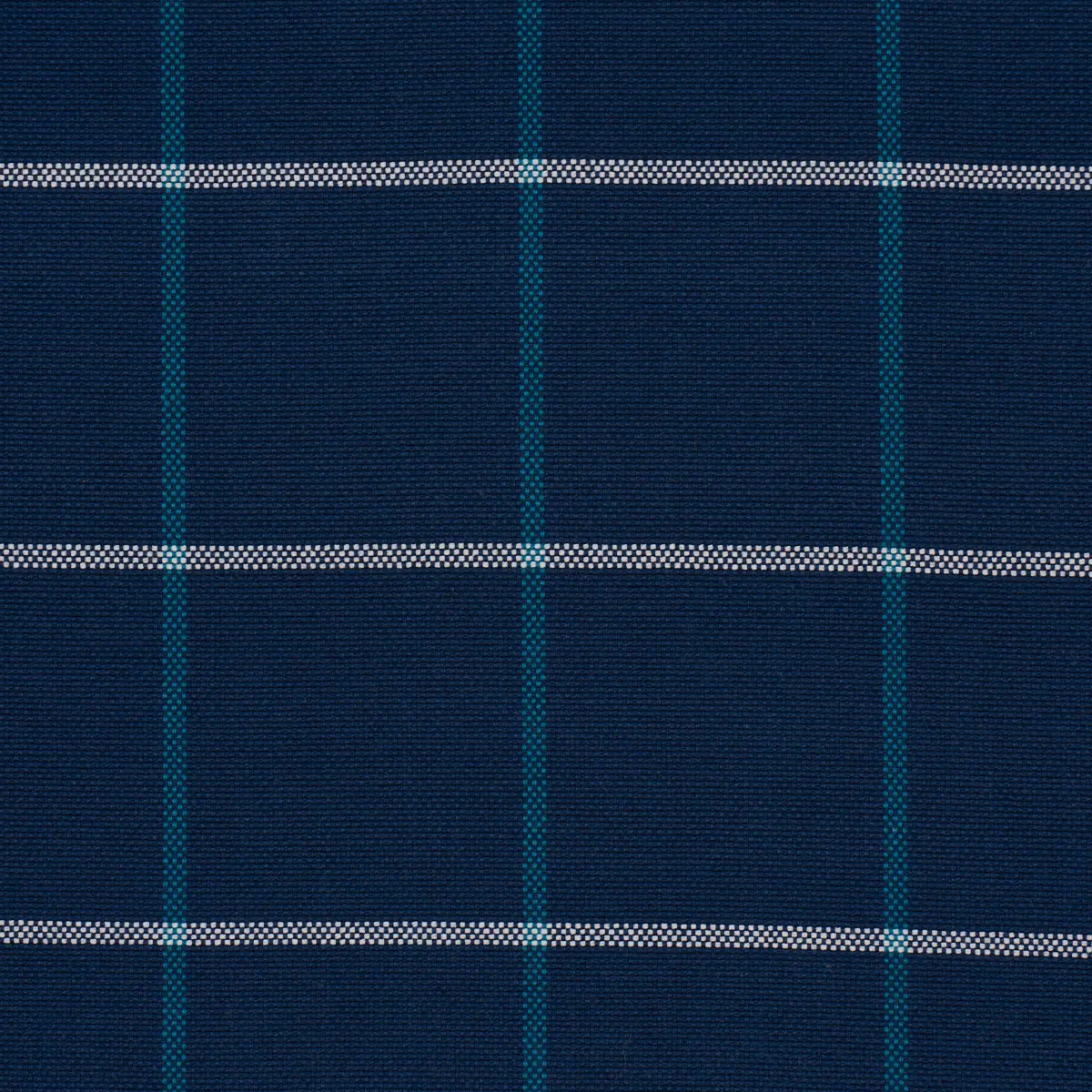 FRANNIE WINDOWPANE_ NAVY