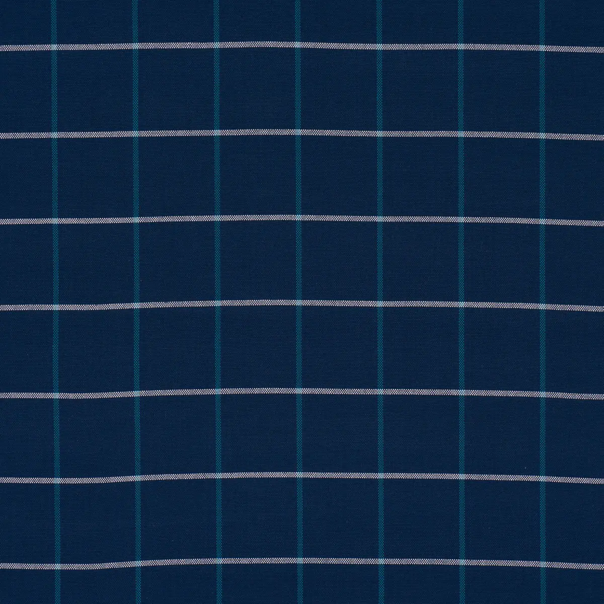FRANNIE WINDOWPANE_ NAVY