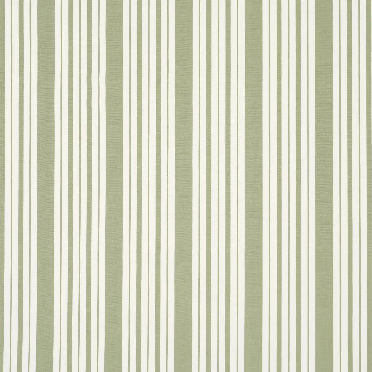 MARKIE STRIPE_ LEAF GREEN