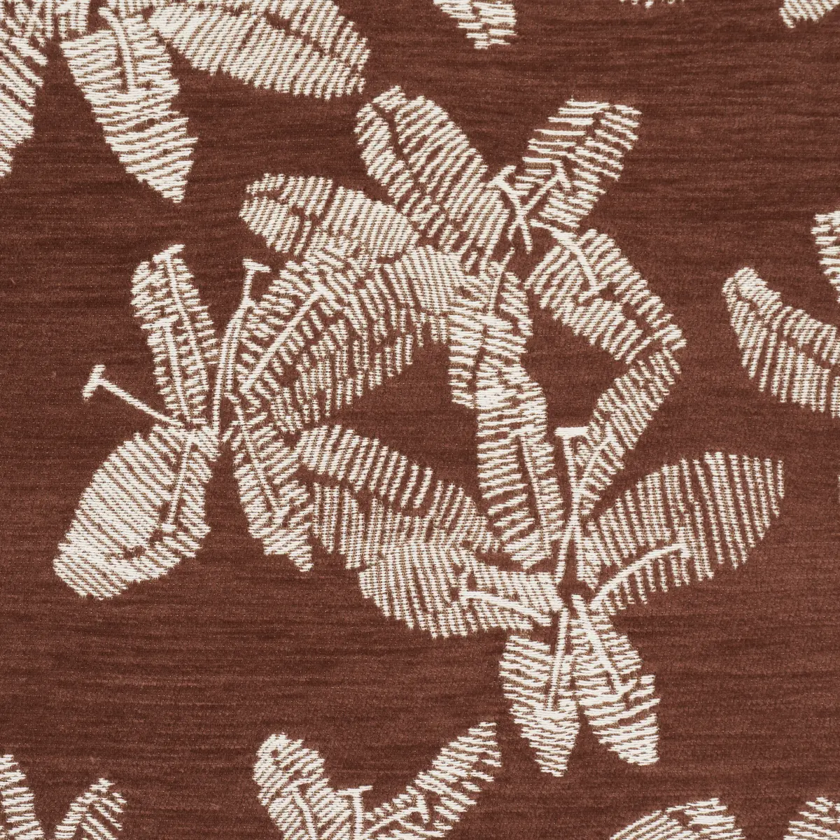 HIBISCUS_ TEAK