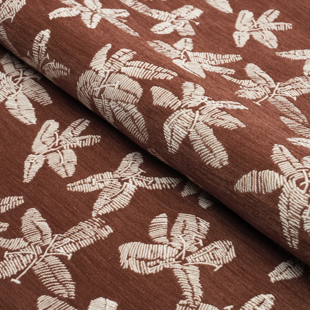 HIBISCUS_ TEAK