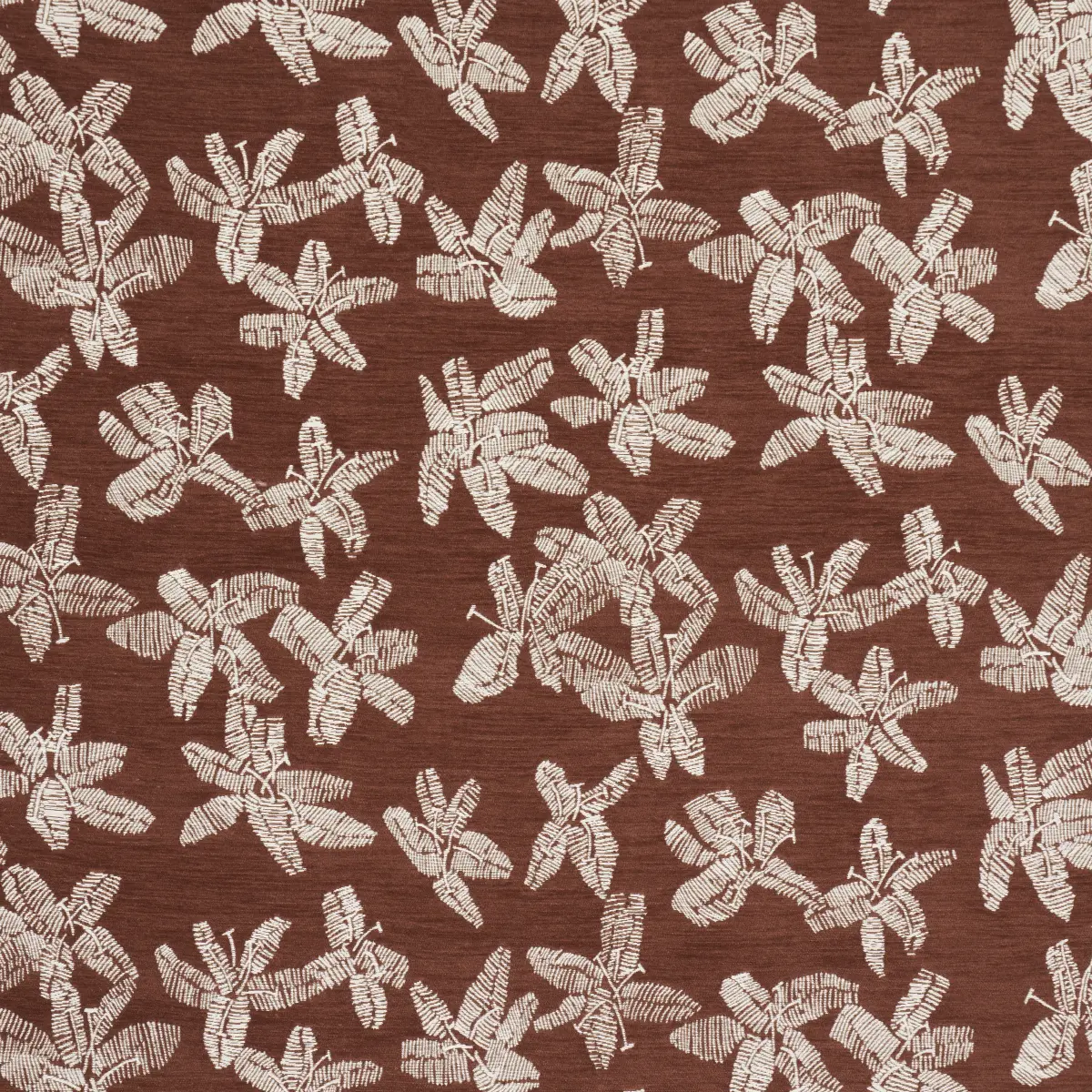 HIBISCUS_ TEAK