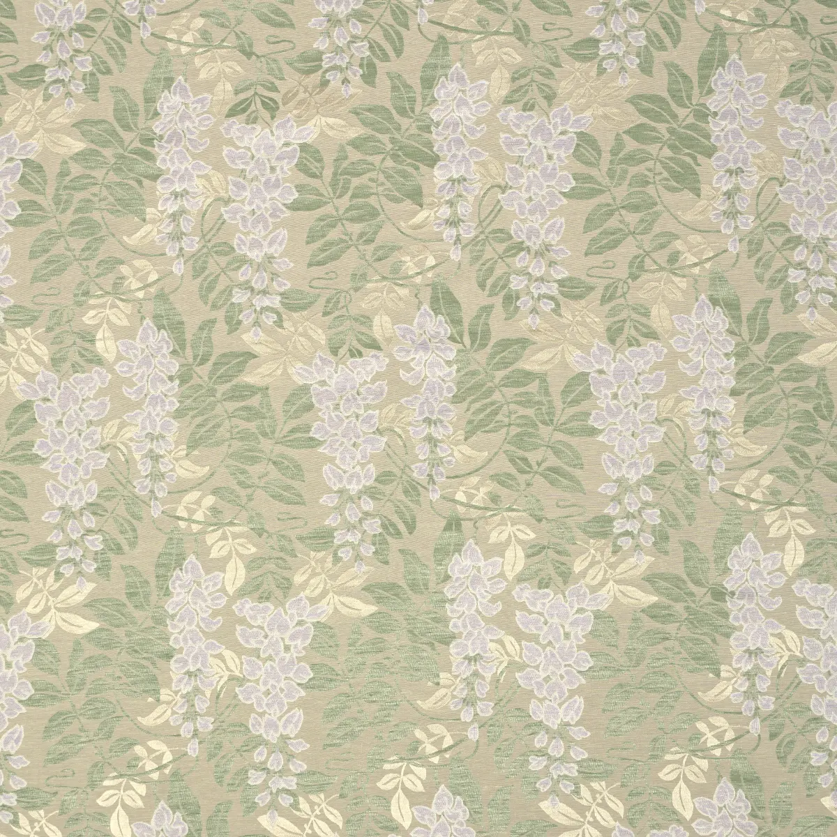 LUCIA WISTERIA_ LILAC