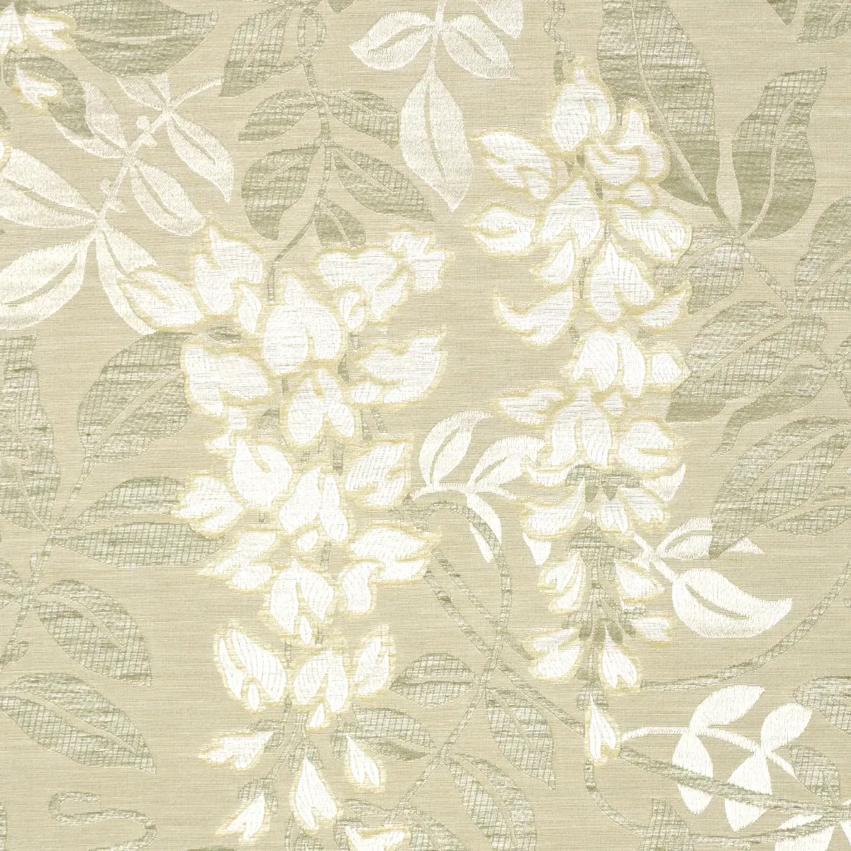 LUCIA WISTERIA_ MOSS