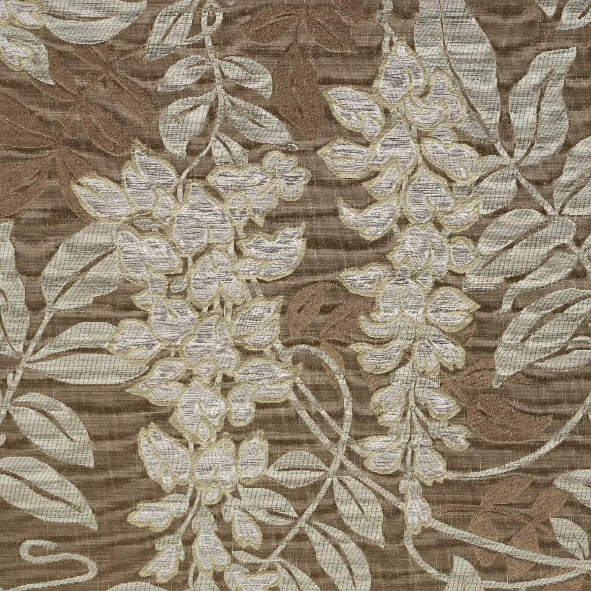 LUCIA WISTERIA_ SABLE