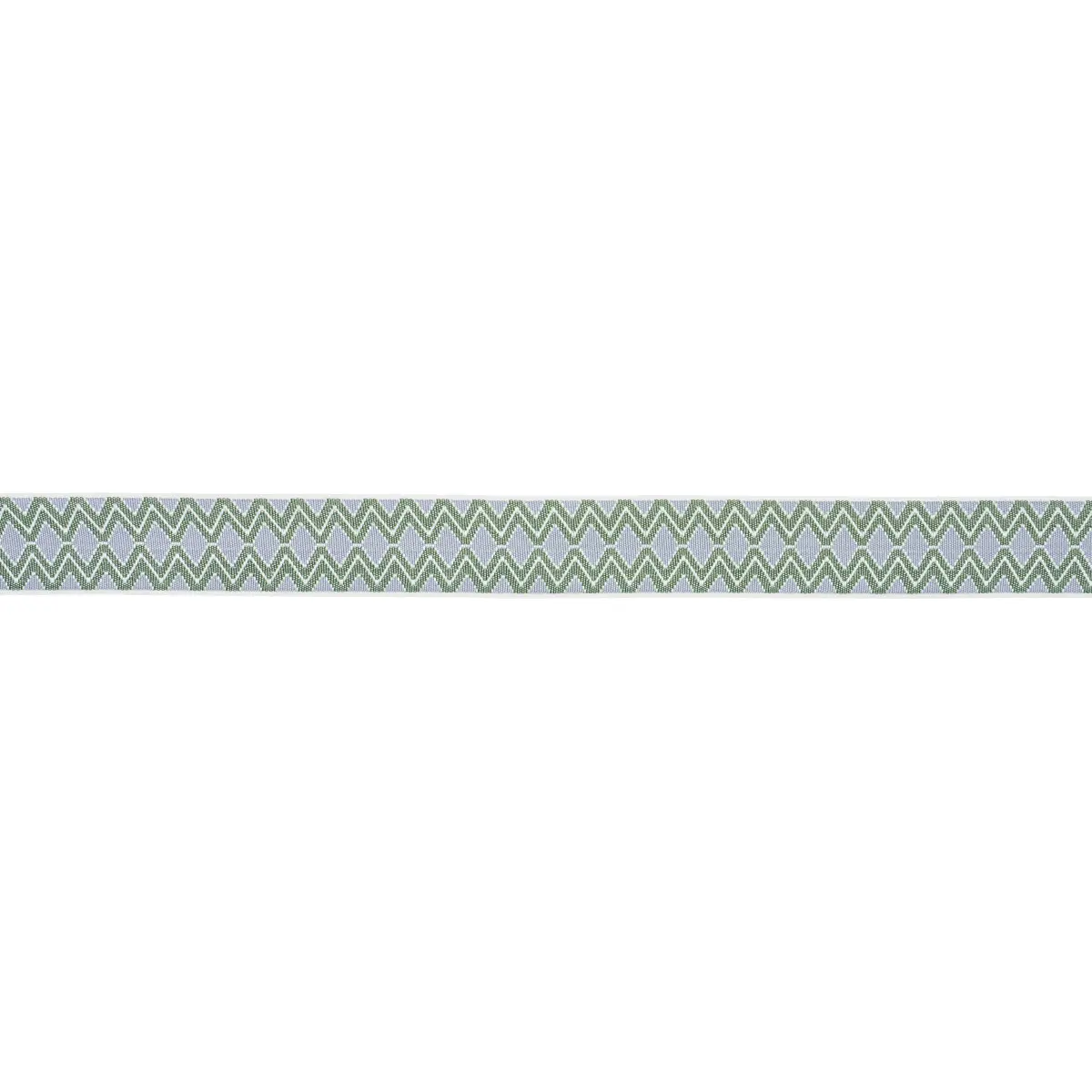 PINULA TAPE_ FERN