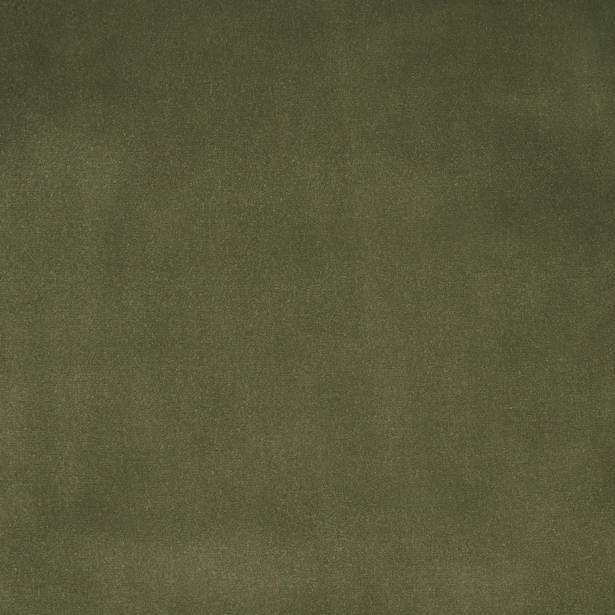 ALISTAIR INDOOR/OUTDOOR VELVET_ OLIVE