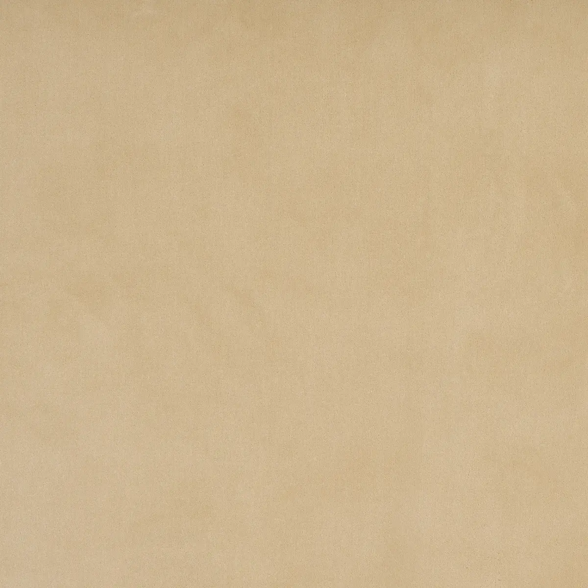 ALISTAIR INDOOR/OUTDOOR VELVET_ BEIGE
