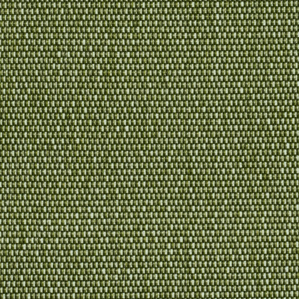 COOPER INDOOR/OUTDOOR_ GREEN