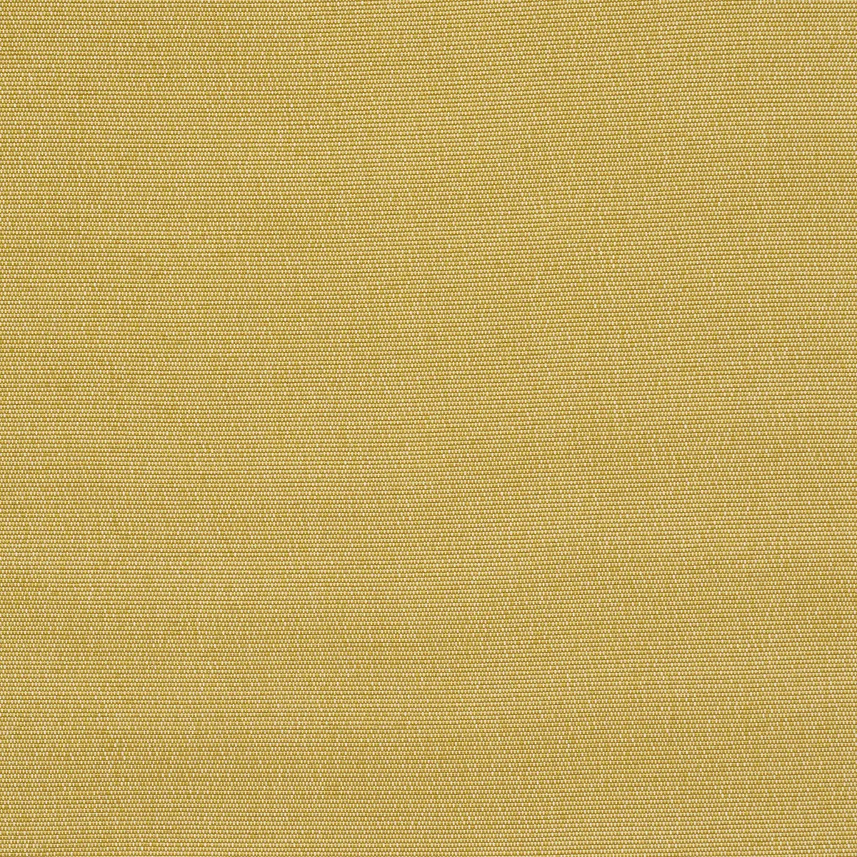 COOPER INDOOR/OUTDOOR_ YELLOW