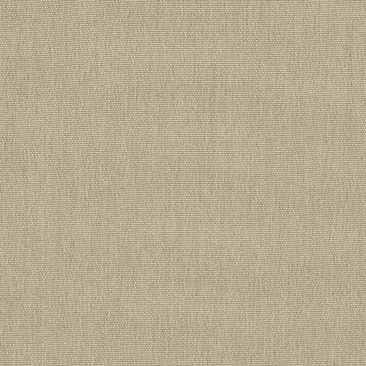 COOPER INDOOR/OUTDOOR_ NATURAL