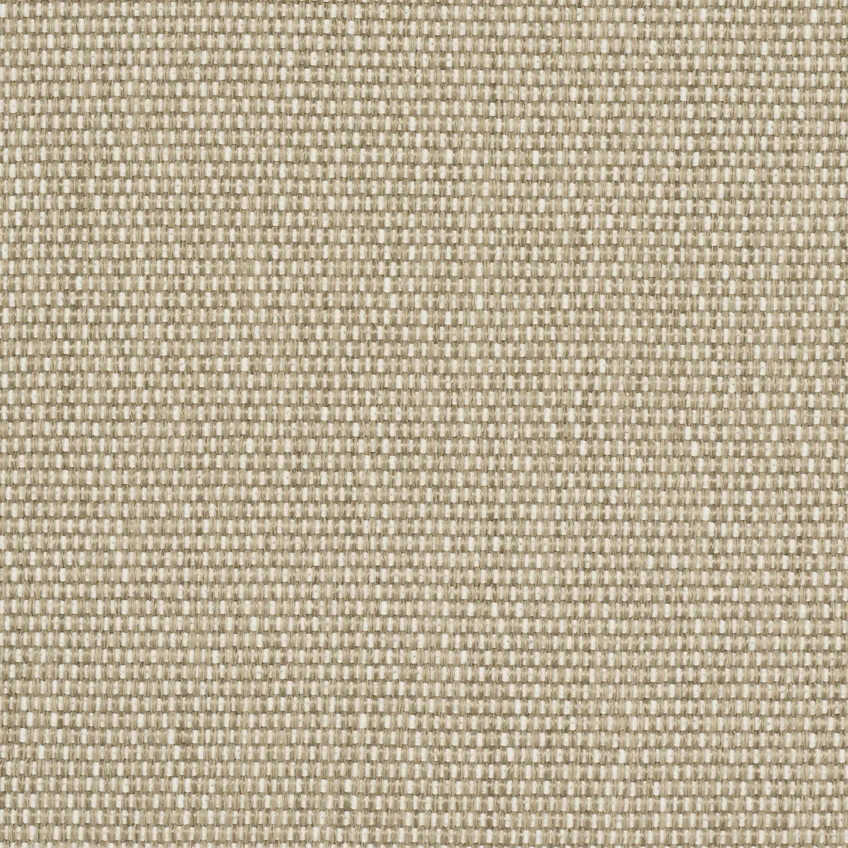 COOPER INDOOR/OUTDOOR_ NATURAL