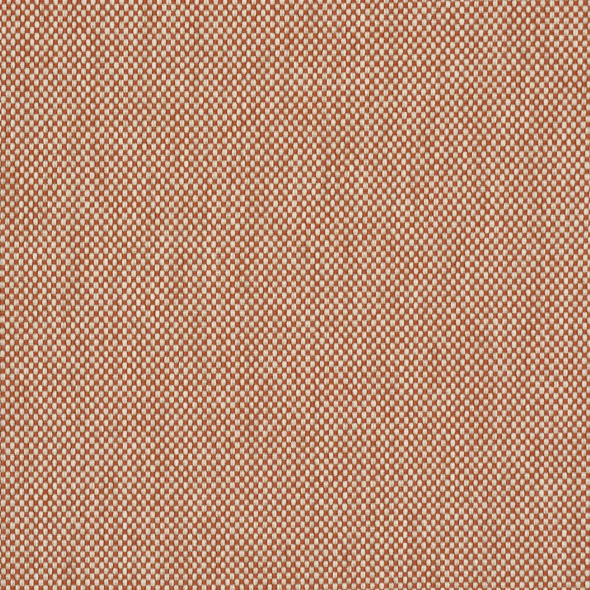 BROCK INDOOR/OUTDOOR_ ORANGE