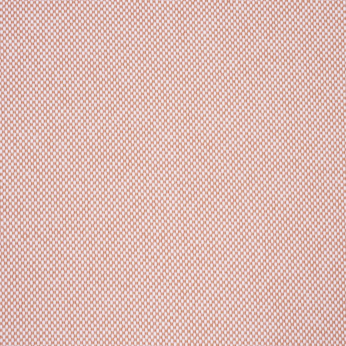 PIPPA INDOOR/OUTDOOR_ PETAL