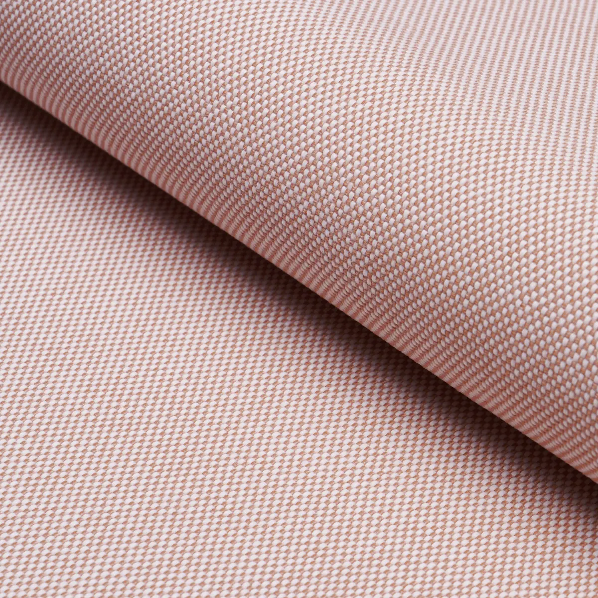 PIPPA INDOOR/OUTDOOR_ PETAL