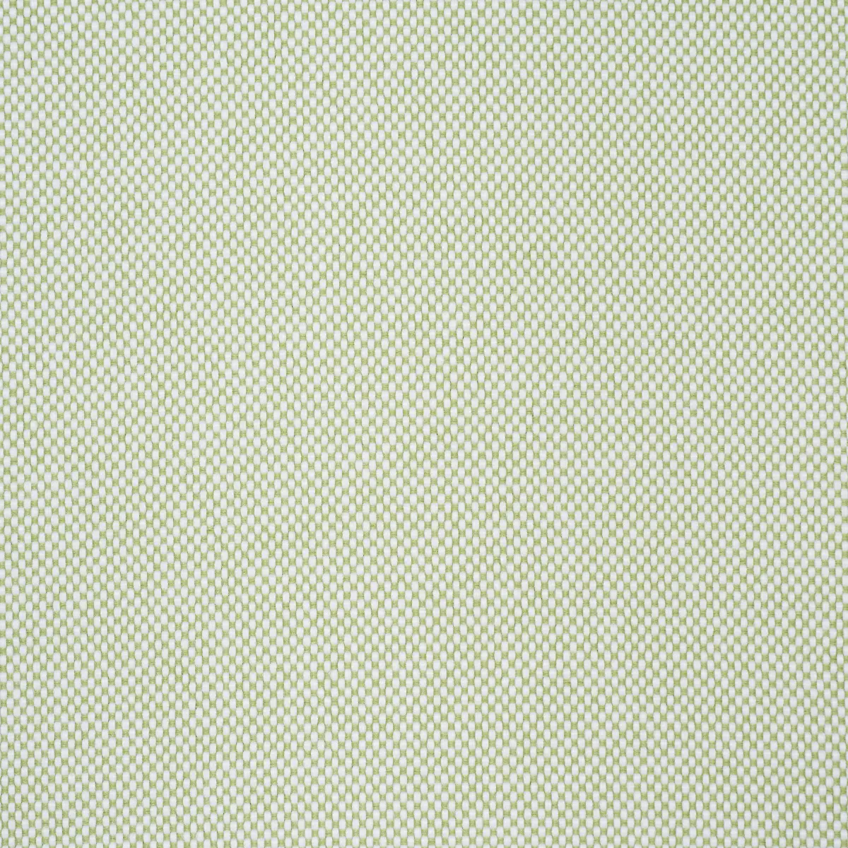 PIPPA INDOOR/OUTDOOR_ LEAF
