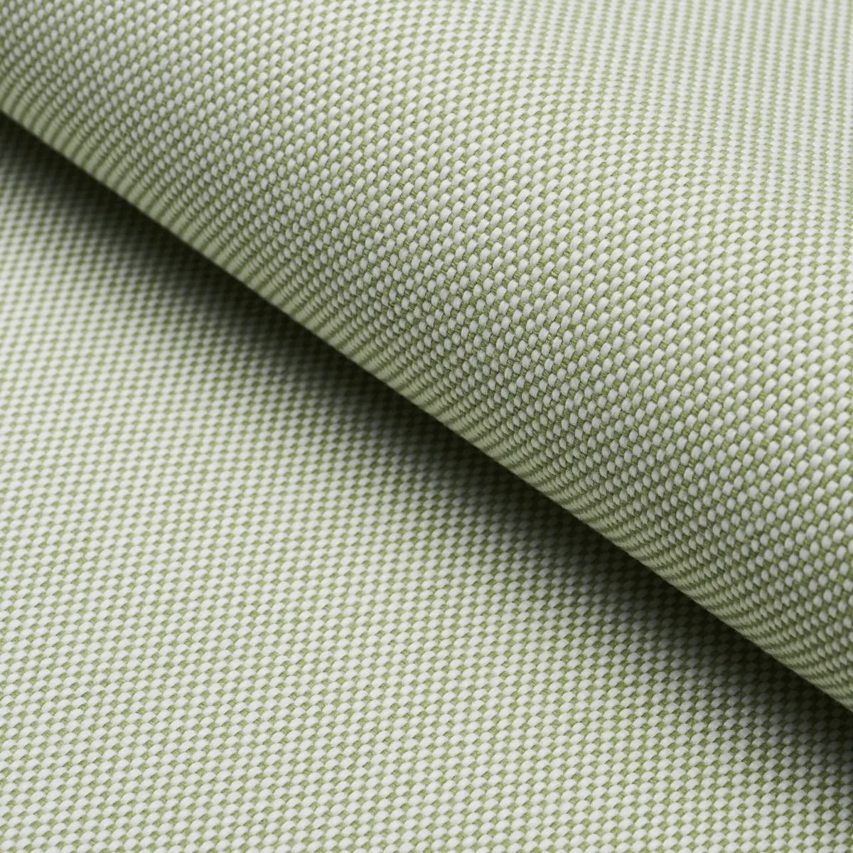 PIPPA INDOOR/OUTDOOR_ LEAF