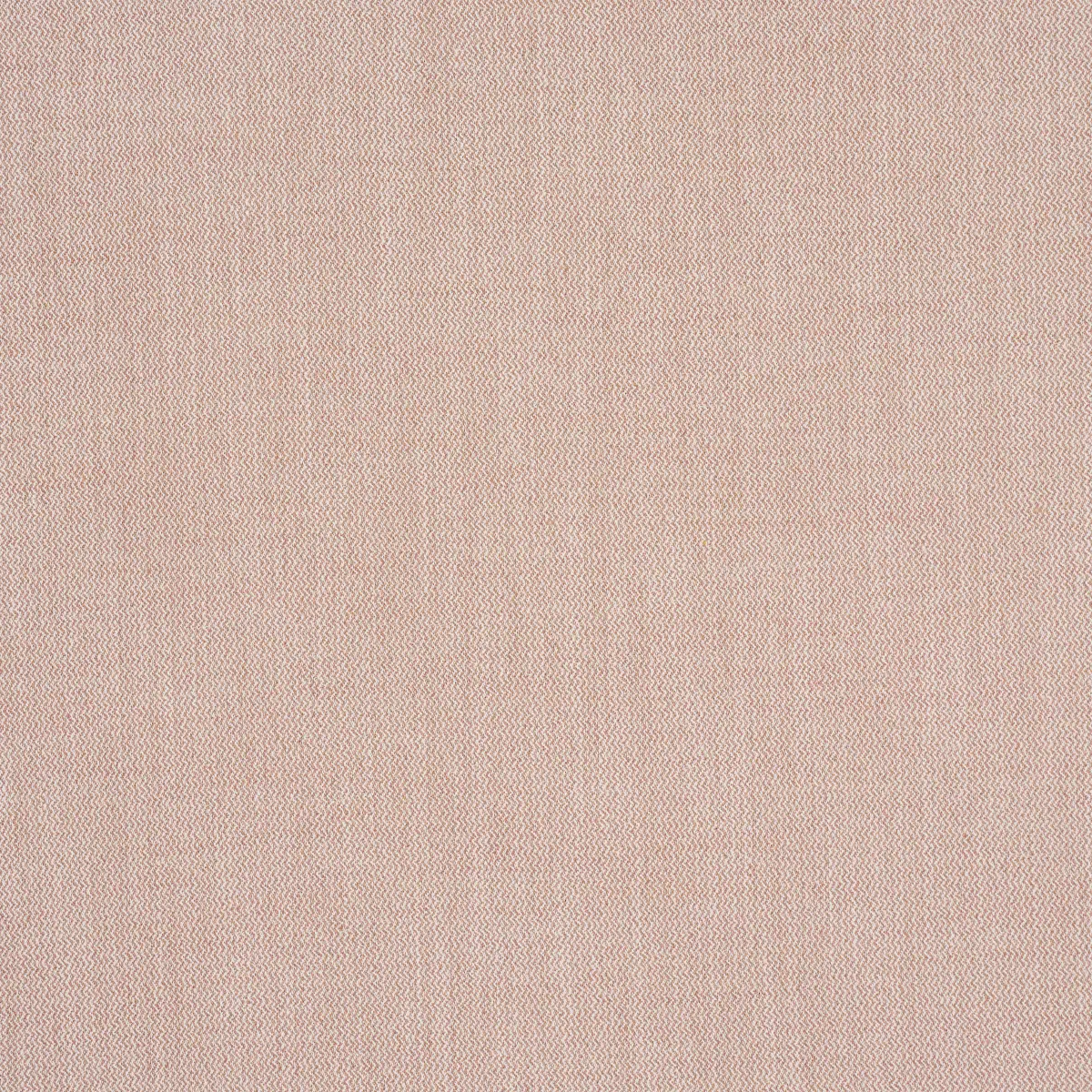 SIMON INDOOR/OUTDOOR_ BLUSH