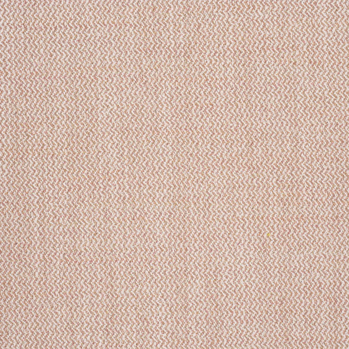 SIMON INDOOR/OUTDOOR_ BLUSH