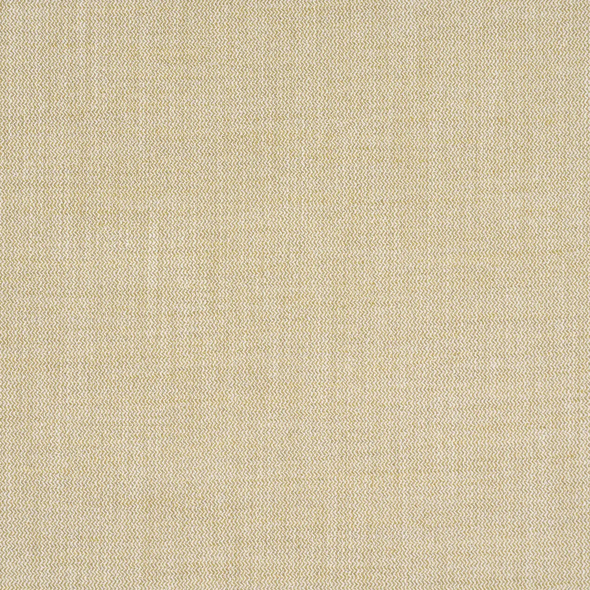 SIMON INDOOR/OUTDOOR_ OCHRE