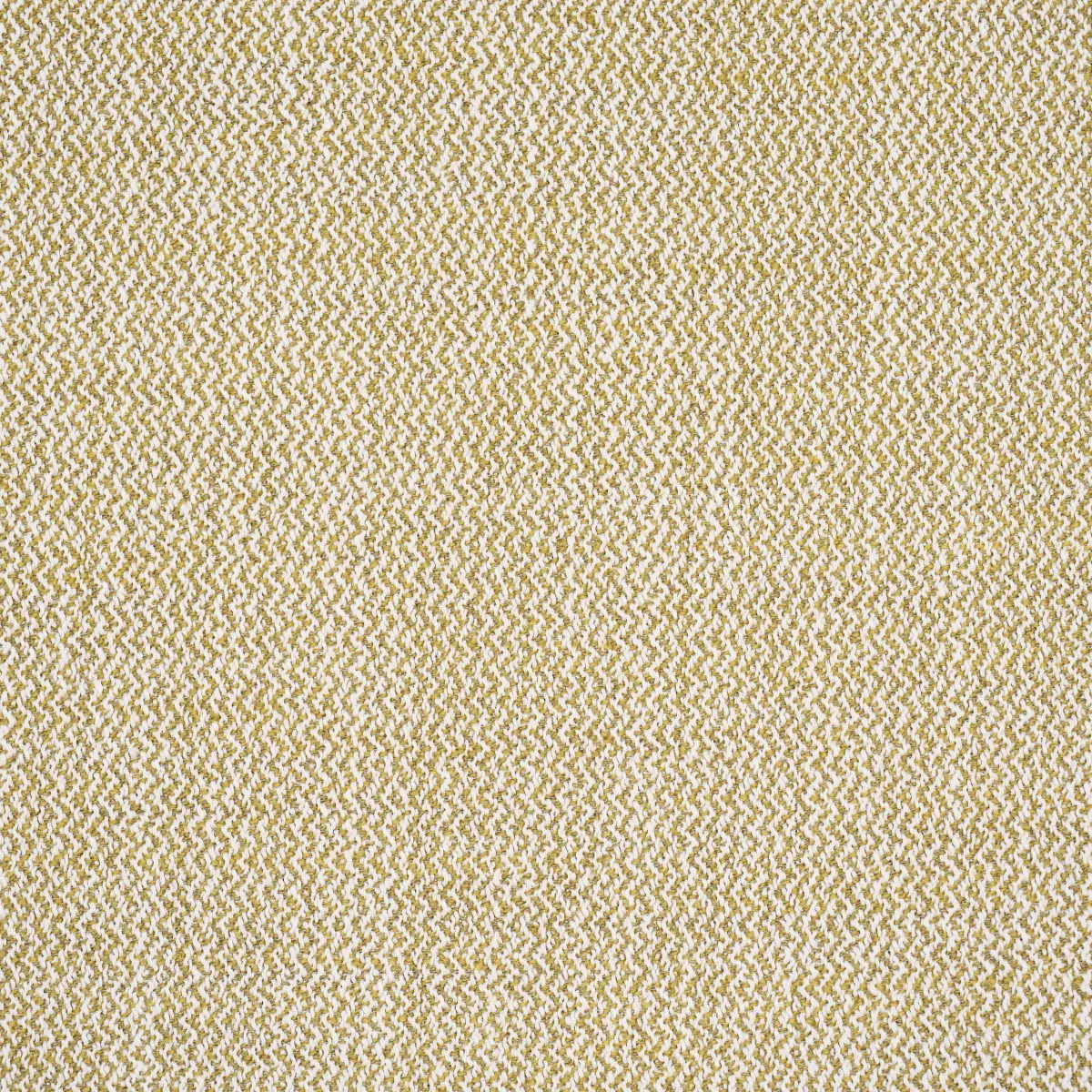 SIMON INDOOR/OUTDOOR_ OCHRE