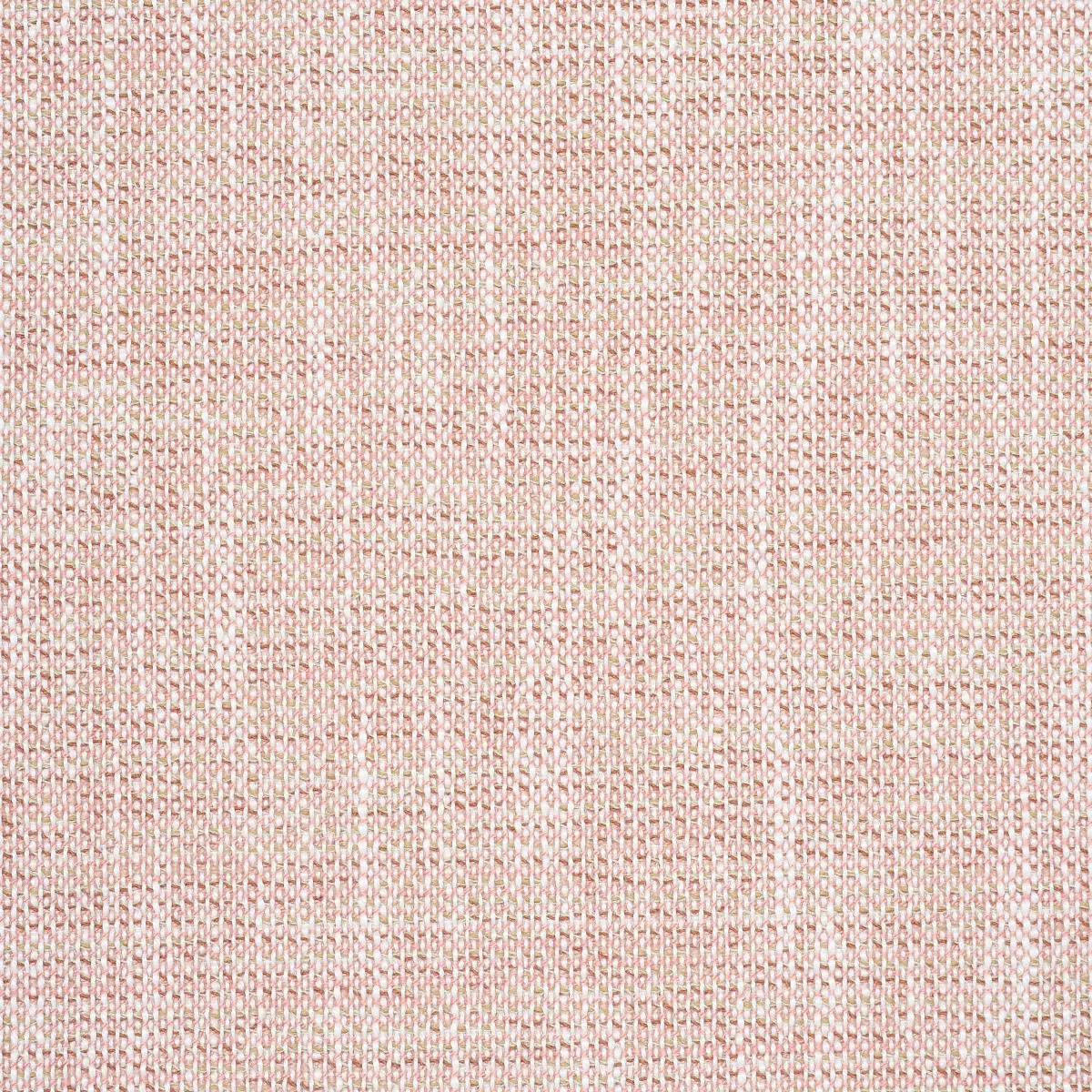 LILY INDOOR/OUTDOOR_ PETAL