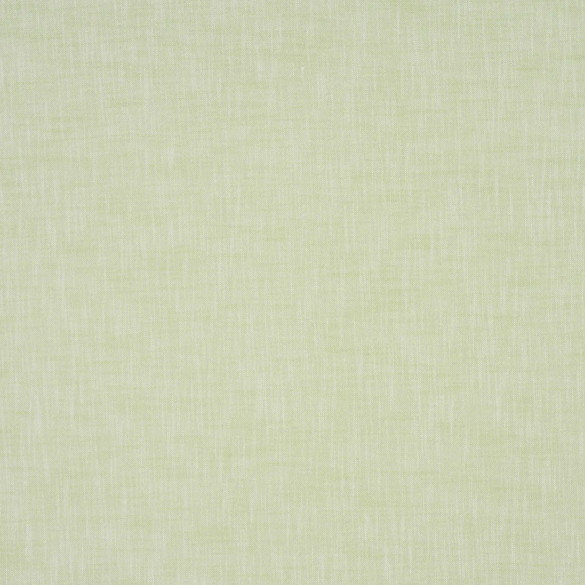 SASHA INDOOR/OUTDOOR_ GREEN
