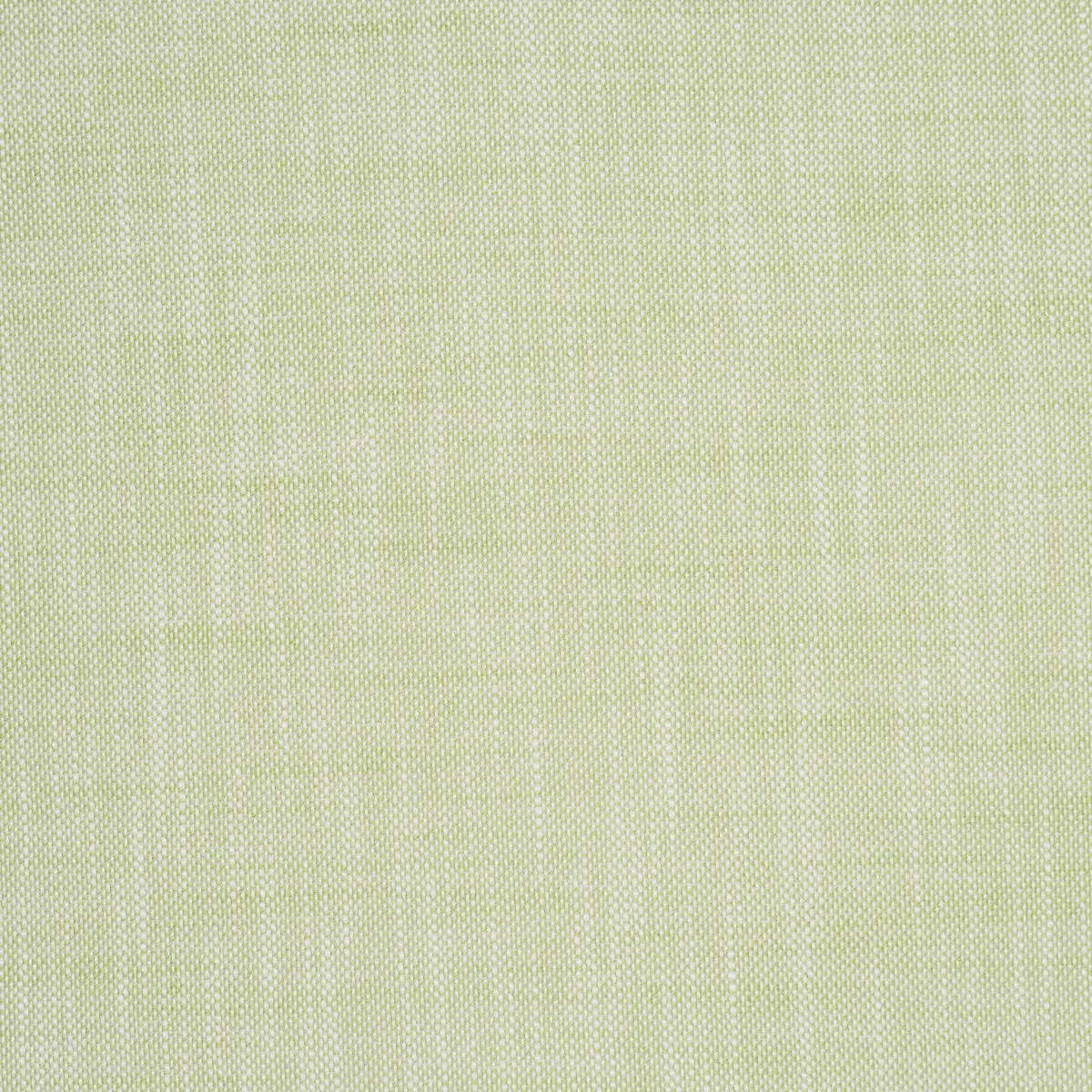 SASHA INDOOR/OUTDOOR_ GREEN