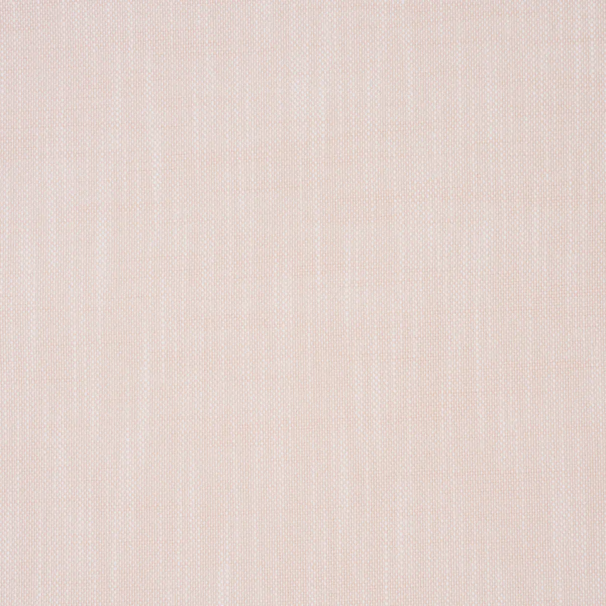SASHA INDOOR/OUTDOOR_ BLUSH