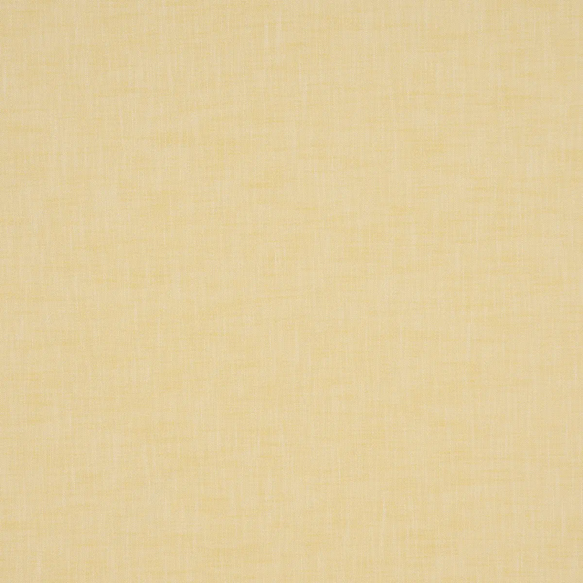 SASHA INDOOR/OUTDOOR_ YELLOW
