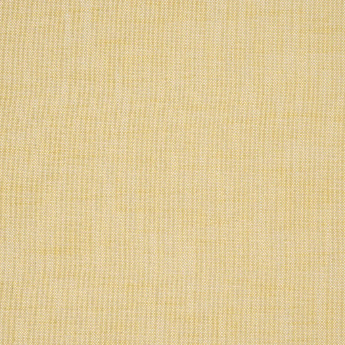 SASHA INDOOR/OUTDOOR_ YELLOW