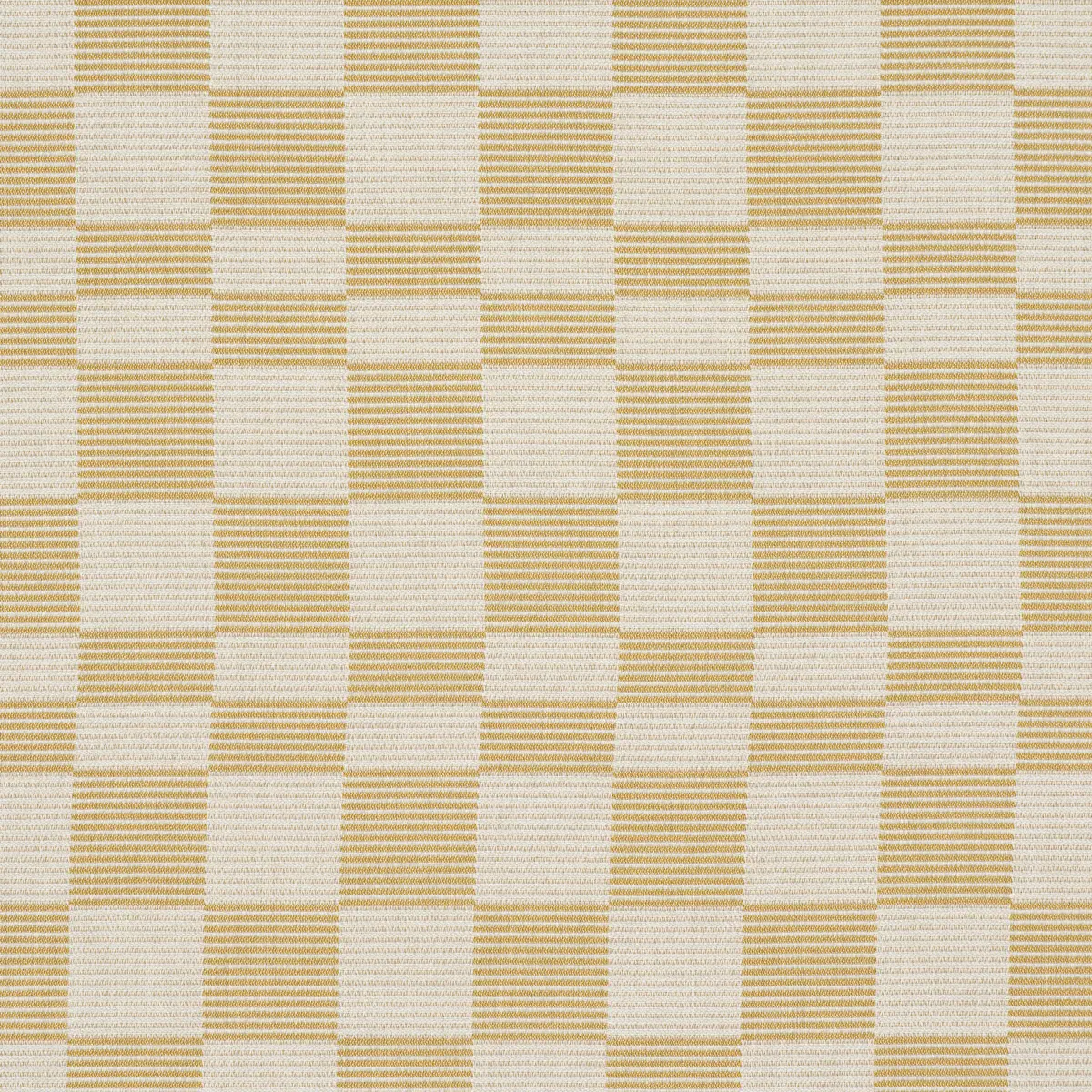 MORRO INDOOR/OUTDOOR_ MAIZE